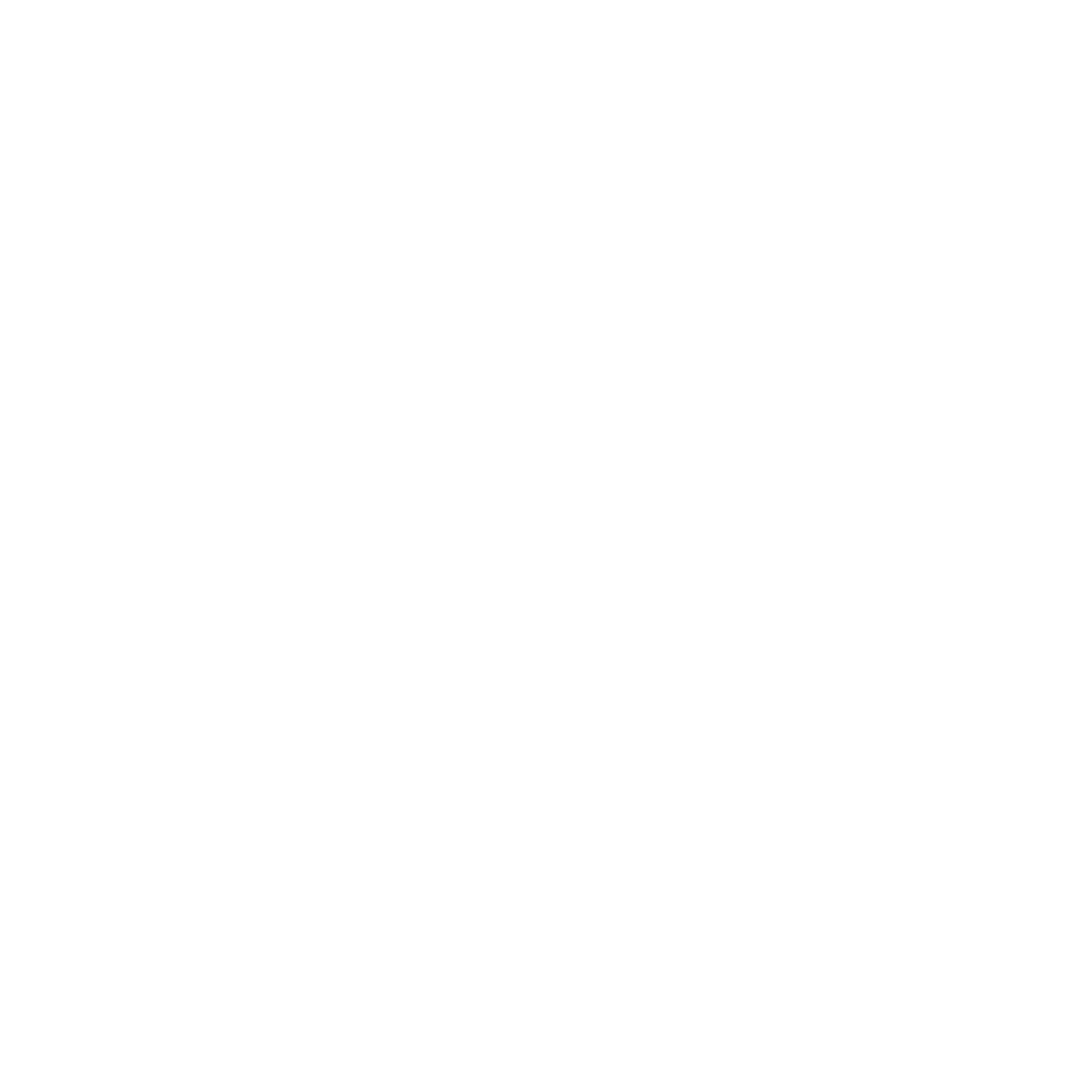 Escudo ONIX